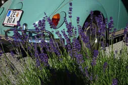 30 Jahre 1. Pinzgauer Oldtimerclub Bild 153
