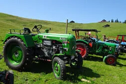 Oldtimertreffen Lofer Bild 59