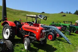 Oldtimertreffen Lofer Bild 62