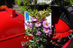 Bauernherbstfest Hinterthal  Bild 42