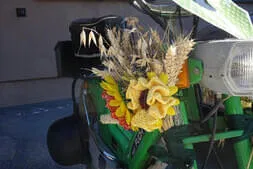Bauernherbstfest Hinterthal  Bild 39