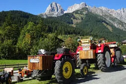 Bauernherbstfest Hinterthal  Bild 85